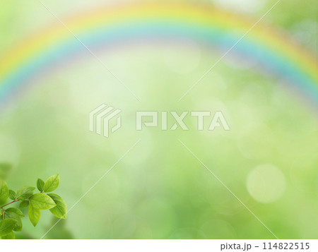 新緑と虹のさわやかな背景 114822515