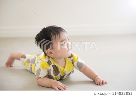 顔持ち上げてハイハイする赤ちゃんの全身 114822852