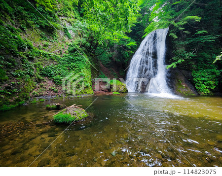 峨瓏の滝(峨瓏大滝) 峨瓏の滝(峨瓏大滝) 114823075
