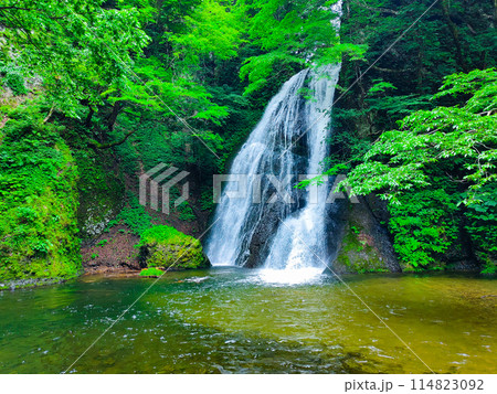 峨瓏の滝(峨瓏大滝) 峨瓏の滝(峨瓏大滝) 114823092