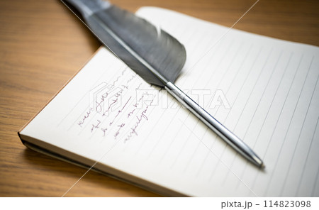 Image photo 114823098