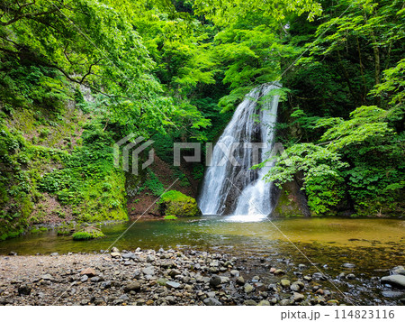 峨瓏の滝（峨瓏大滝） 114823116