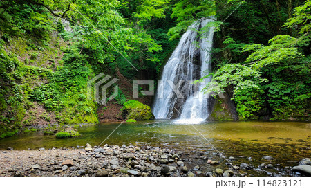 峨瓏の滝（峨瓏大滝） 114823121