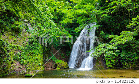 峨瓏の滝（峨瓏大滝） 114823126