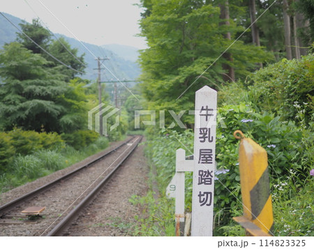 牛乳屋踏切の表記と線路(箱根登山鉄道) 牛乳屋踏切の表記と線路(箱根登山鉄道) 114823325