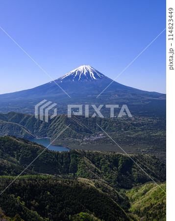 山梨県・王岳～鬼ヶ岳稜線より望む富士山の絶景（春景色） 114823449