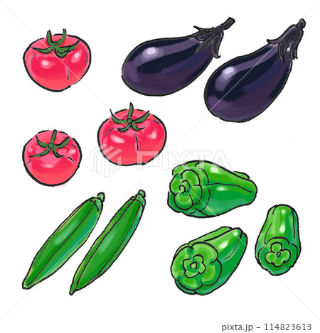 つやつやの夏野菜のイラスト 114823613