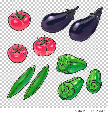 つやつやの夏野菜のイラスト 114823613