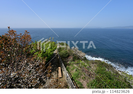 伊王島展望台からの風景 伊王島展望台からの風景 114823626