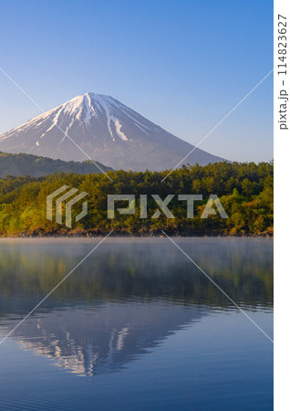 山梨県・早朝の西湖と富士山の絶景 山梨県・早朝の西湖と富士山の絶景 114823627