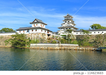 【愛媛県】快晴の今治城 114823683