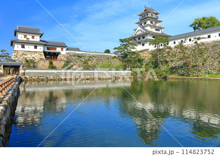 【愛媛県】快晴の今治城 114823752