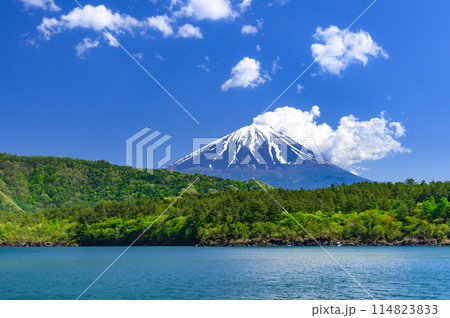 山梨県・青空と富士山の絶景（初夏の西湖から） 114823833