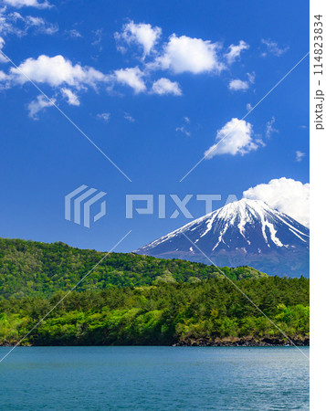 山梨県・青空と富士山の絶景（初夏の西湖から） 114823834