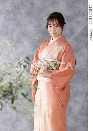 訪問着の着物を着た女性 訪問着の着物を着た女性 114823844