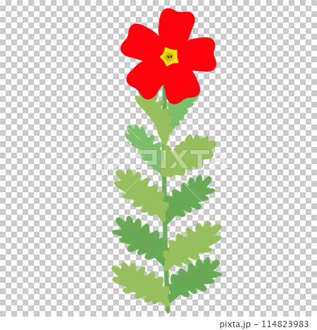 Illustration of San Britannia Scarlet 114823983