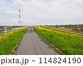 江戸川　春日部市庄和排水機場付近にて 114824190