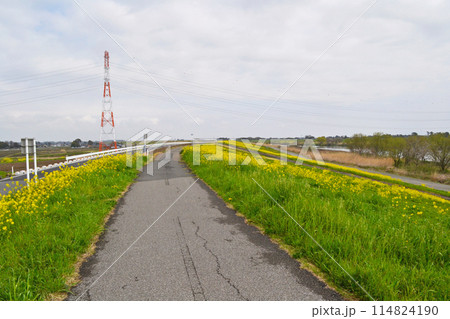 江戸川 春日部市庄和排水機場付近にて 江戸川 春日部市庄和排水機場付近にて 114824190