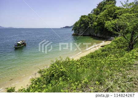 因島　因島大橋記念公園近くの砂浜　広島県尾道市 114824267