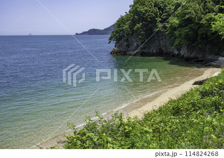 因島　因島大橋記念公園近くの砂浜　広島県尾道市 114824268