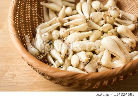 ざるに盛ったらっきょう(鹿児島県産)1kg ざるに盛ったらっきょう(鹿児島県産)1kg 114824693
