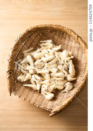 ざるに盛ったらっきょう（鹿児島県産）1kg 114824709