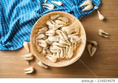 ざるに盛ったらっきょう（鹿児島県産） 114824879