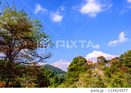 紅葉の宮ケ瀬ダム 114824977