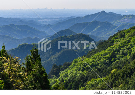 埼玉県・正丸峠より望む新緑の山並みと都心の絶景 114825002