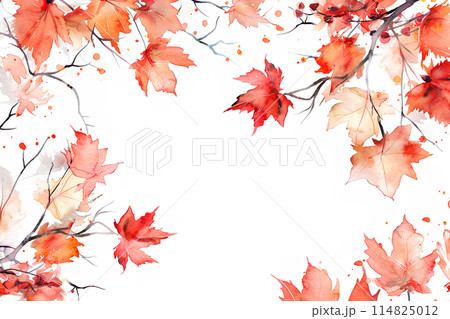 紅葉の楓 紅葉の楓 114825012