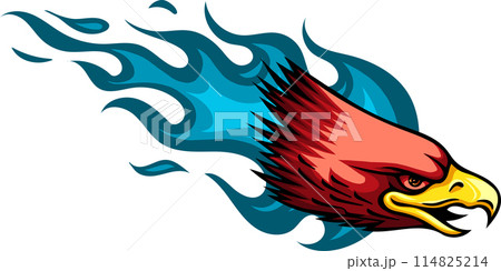 Mascot Head of an Eagle vector illustration design Mascot Head of an Eagle vector illustration design 114825214