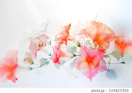 鮮やかなノウゼンカズラの花 114825303