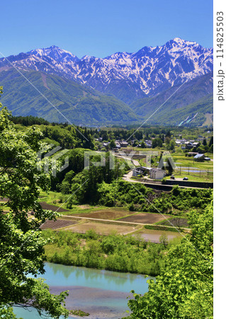 姫川と北アルプス（長野県・白馬村） 114825503