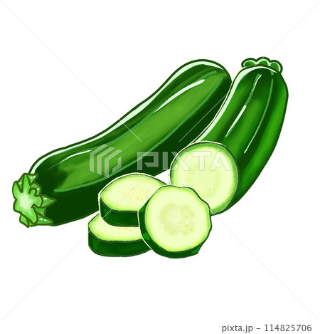 夏野菜　ズッキーニ一本とカットされたズッキーニの断面。焼いても煮てもおいしい。 114825706