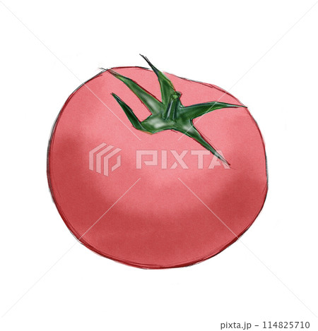 水彩で描いた赤いトマトのイラストのイラスト素材 [114825710] - PIXTA