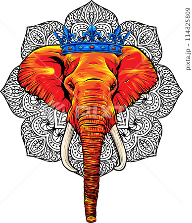 vector illustration of Elephant head digital draw 114825809