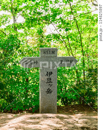 埼玉奥武蔵の名峰・伊豆ヶ岳山頂の標柱(春) 埼玉奥武蔵の名峰・伊豆ヶ岳山頂の標柱(春) 114825897