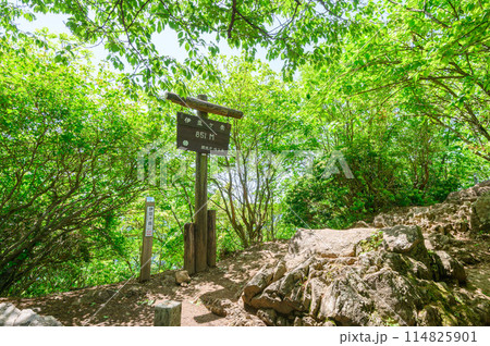 埼玉奥武蔵の名峰・伊豆ヶ岳山頂の標柱(春) 埼玉奥武蔵の名峰・伊豆ヶ岳山頂の標柱(春) 114825901