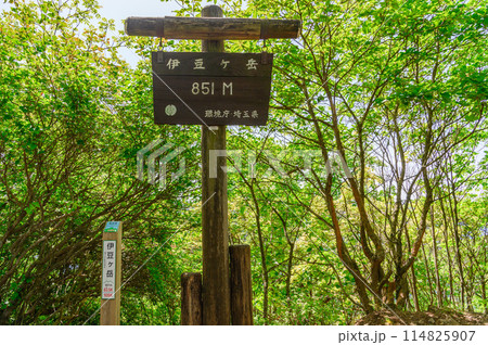 埼玉奥武蔵の名峰・伊豆ヶ岳山頂の標柱(春) 埼玉奥武蔵の名峰・伊豆ヶ岳山頂の標柱(春) 114825907