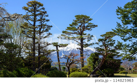 藤田記念庭園より望む岩木山　青森県　 114825963
