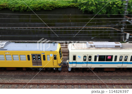 ［2024.05］小田急8000形電車：西武鉄道譲渡回送（武蔵野線新秋津付近） 114826397