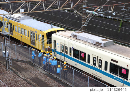 ［2024.05］小田急8000形電車：西武鉄道譲渡回送（武蔵野線新秋津付近） 114826443