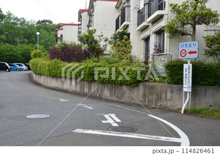 野猿峠の道路　東京八王子市　 114826461