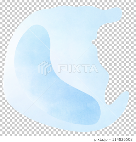 Macrophages are found in essentially all tissues 114826508