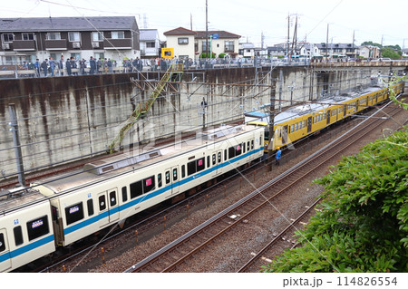 ［2024.05］小田急8000形電車：西武鉄道譲渡回送（武蔵野線新秋津付近） 114826554