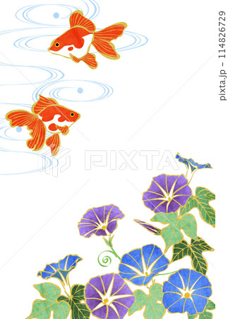 暑中見舞い、はがき、金魚、朝顔、流水、イラスト、縦 114826729