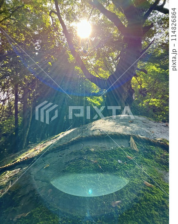 丹内山神社の胎内石と光 丹内山神社の胎内石と光 114826864