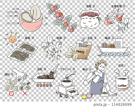 コーヒー豆の精製工程とコーヒーを淹れる男性 114826899