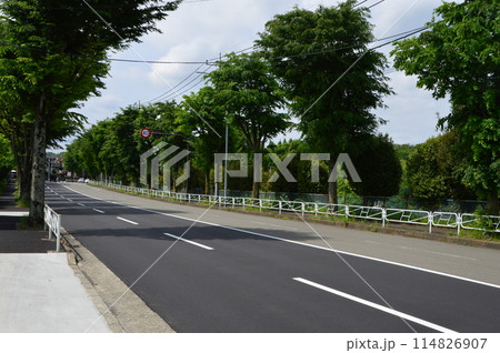 東京郊外の道路 八王子市 東京郊外の道路 八王子市 114826907