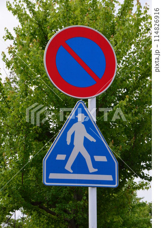 東京郊外の道路　八王子市 114826916